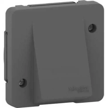 Schneider Electric - MUR37931 - SORTIE CABLE GRIS COMPO MUREVA STYL