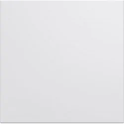 Hager - WXD000B - Enjoliveur interrupteur 2M Gallery pure