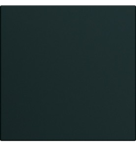 Hager - WXD000N - Enjoliveur interrupteur 2M night