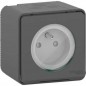Schneider Electric - MUR36030 - PC 2P+T GRIF GRIS SAILLIE MUREVA STYL