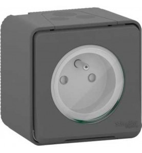 Schneider Electric - MUR36030 - PC 2P+T GRIF GRIS SAILLIE MUREVA STYL