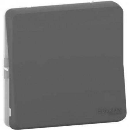 Schneider Electric - MUR37021 - Va et Vient GRIS COMPOSABLE MUREVA STYL
