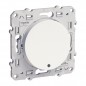 Schneider Electric - S520263 - ODACE va-et-vient lumineux blanc VIS