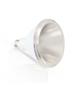 Ampoule LED PAR38 15W 3000°K