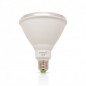 Ampoule LED PAR38 15W 3000°K