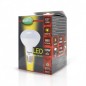 Ampoule LED E27 Spot R80 10W 3000°K