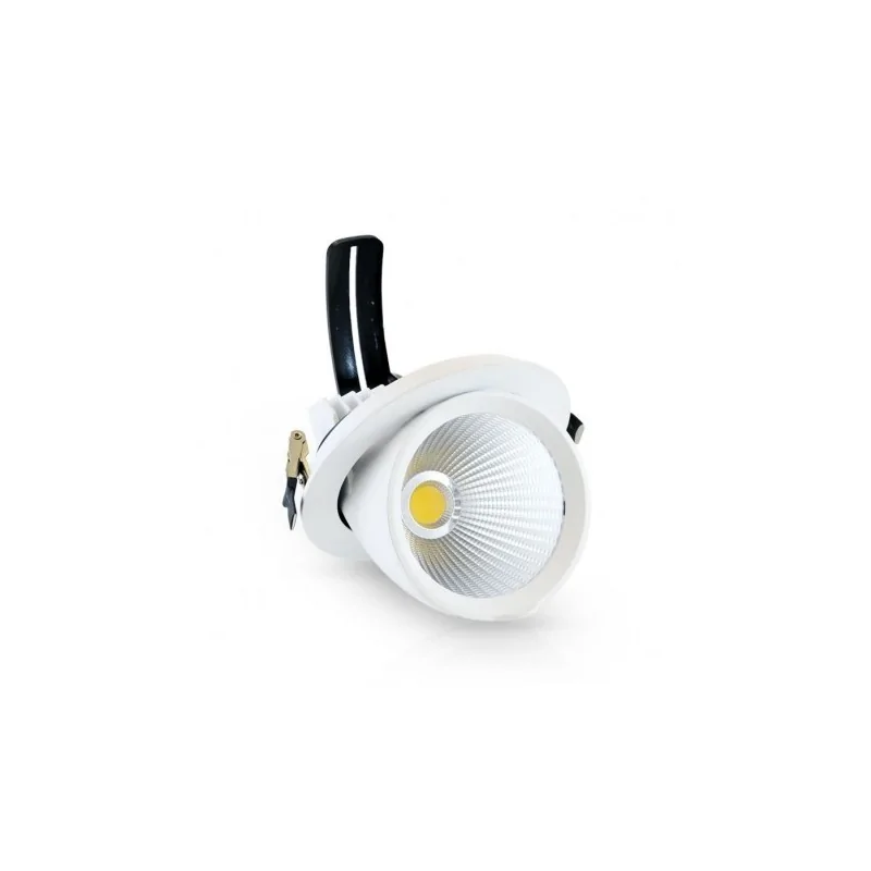 Spot LED Escargot Rond Inclinable et Orientable avec Alimentation Electronique 40W 4000°K