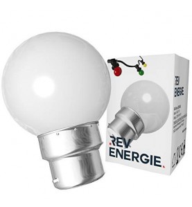 Guirlande guinguette LED B22 20 ampoules multicolore 10m + Câble d'alimentation