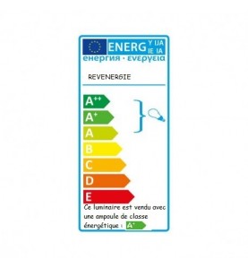 Rêvenergie - Guirlande guinguette extérieure lumineuse LED 20 ampoules B22 Multicolore 10m