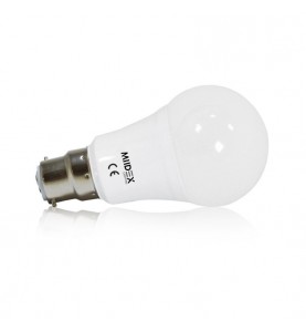 LED 10 W BULB B22 4000 K BOITE