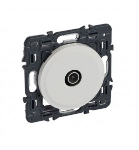 Legrand - 067782 -Prise TV simple mâle Ø9,52mm Céliane + enj. blanc + support