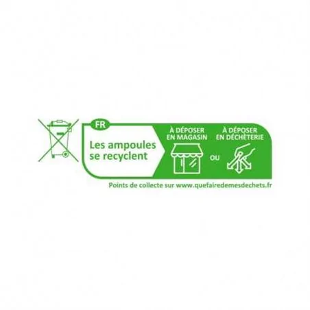 AMPOULE LED B22 BULB G45 6W 4000K