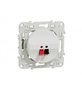 Schneider Electric - S520487 - ODACE PRISE HP 1 SORTIE