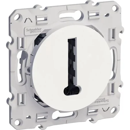 Schneider Electric - S520496 - ODACE CONJONCTEUR T BLANC