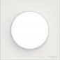 Schneider Electric - S520702 - Odace Styl - plaque Blanc 1 poste