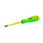 AGI Robur - 221125 - TPZ1SL TOURNEVIS POZI.ISO 1X80 M