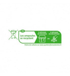 AMPOULE LED G4 3W 4000K BLISTER X 4