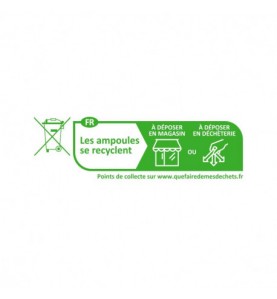 LED 6W GU10 2700K 38° BOITE