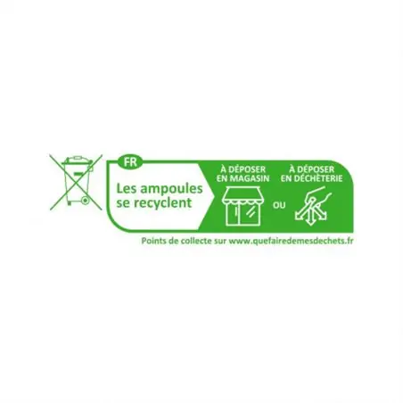 AMPOULE LED G4 2W 160LM 4000K
