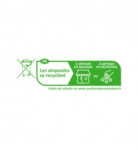 AMPOULE LED PL 2G11 8W 4000K