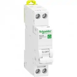 Schneider Electric - R9PFC620 - Disjoncteur XP 1P+N 20A C