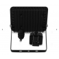 LUMOS SLIM II PROJECT 20W 4000K PLAT NOIR + DETECT IP65