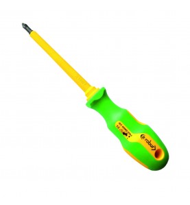 Agi Robur | Tournevis cruciforme multi-empreinte isolé 1000V TPZH123