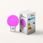 Lot de 24 ampoules LED Roses B22 Incassables - Guirlandes guinguette - Culot baïonnette Lot de 24 ampoules LED Roses B22 Incassables - Guirlandes guinguette - Culot baïonnette
