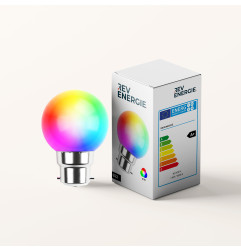 Lot de 12 ampoules Led RGB B22 Incassables - Guirlandes guinguette - Culot baïonnette