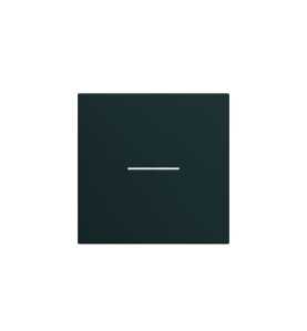 Hager - WXD001N - Enjoliveur interrupteur à voyant 2M night - Enjoliveur - Rêvenergie