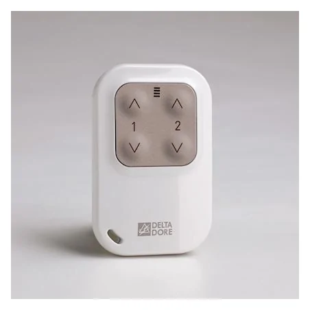 Delta Dore - 6351388 - Tyxia 1400 Telecommande porte-cle radio 2 voies - Eclairage - Volet roulant