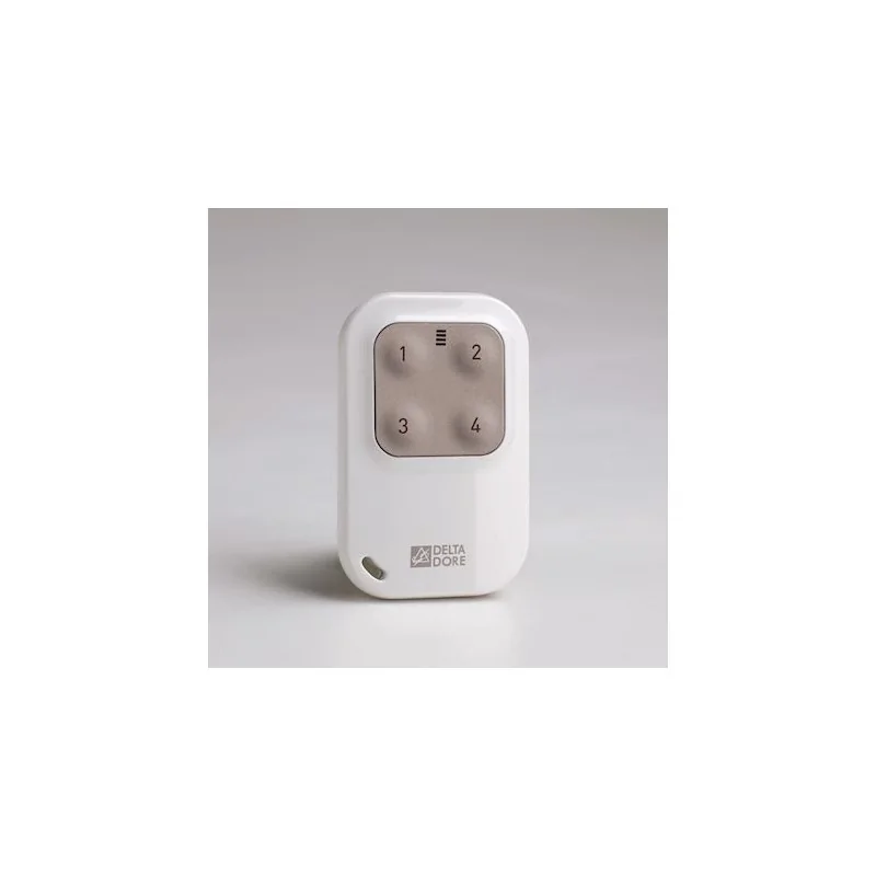Delta Dore - 6351389 - Tyxia 1410 Telecommande porte-cle pour pilotage d'automatismes