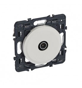 Legrand - 067782 -Prise TV simple mâle Ø9,52mm Céliane + enj. blanc + support